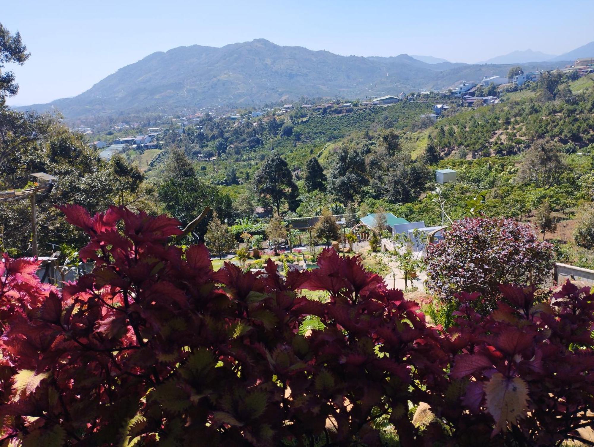 Homestay Chan Que Bảo Lộc Eksteriør bilde